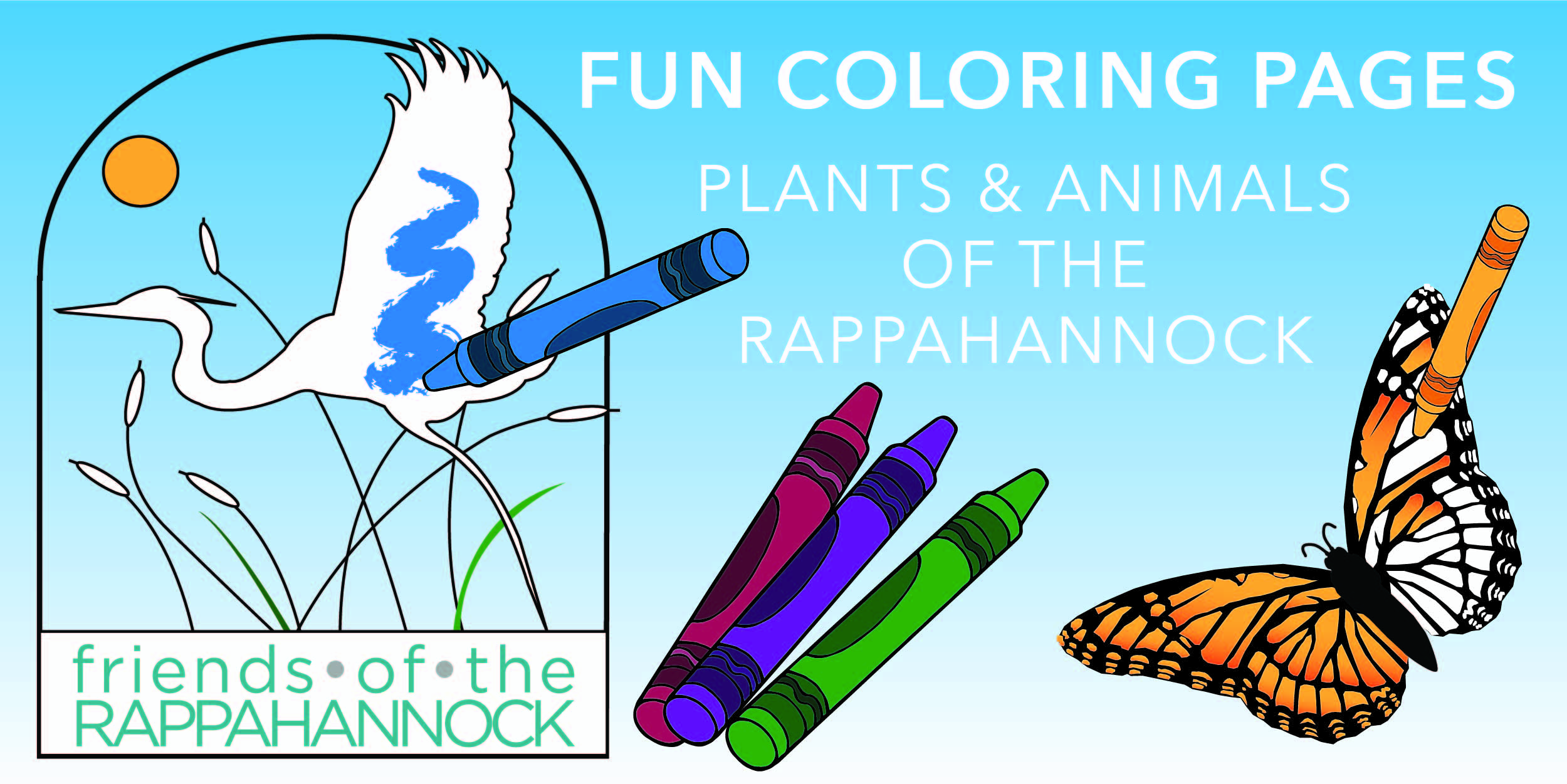 Coloring book plants animals of the rappahannock free download