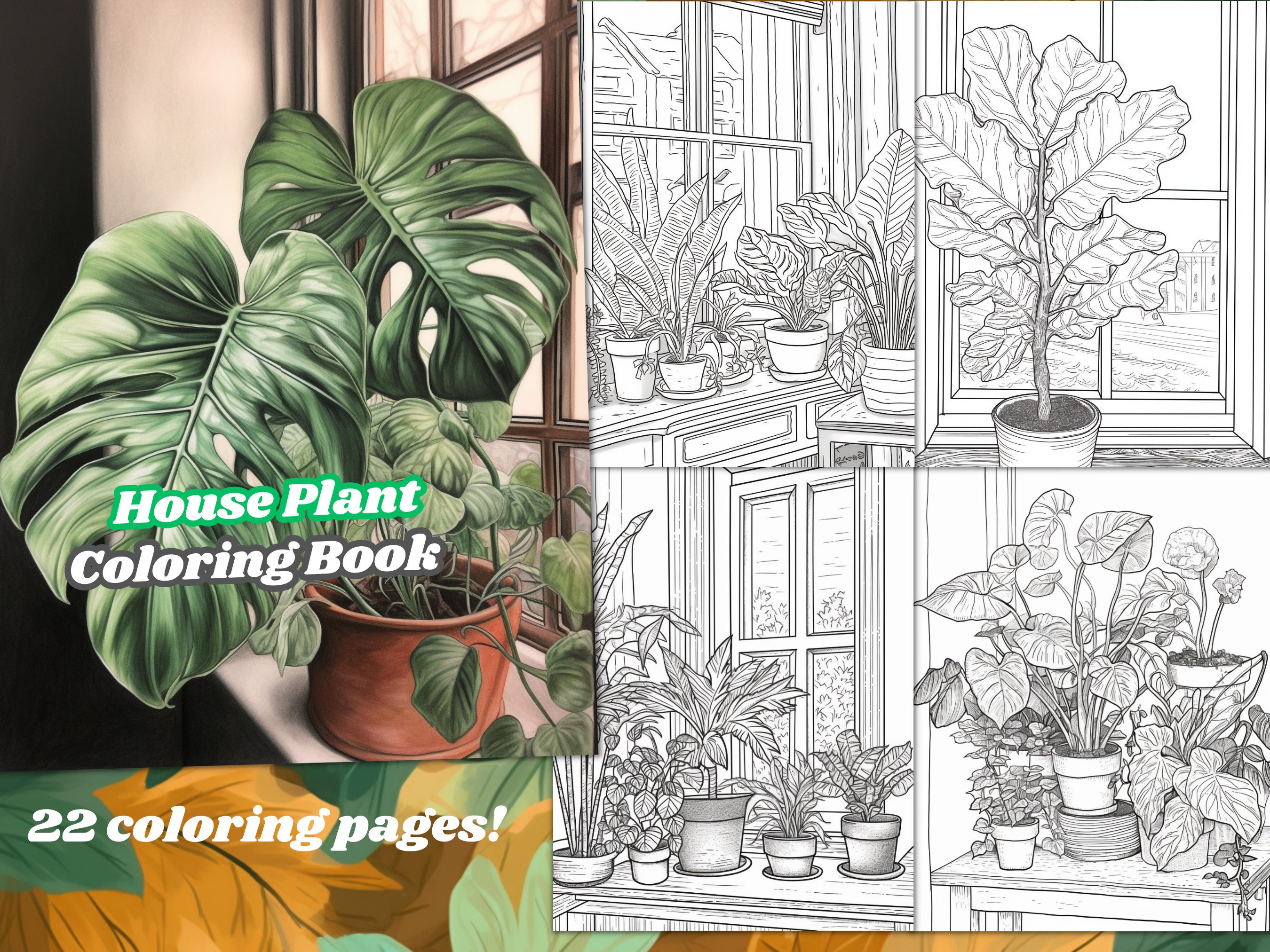 House plant coloring page book adults kids instant download printable pdf