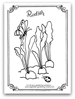 Free vegetable garden coloring books