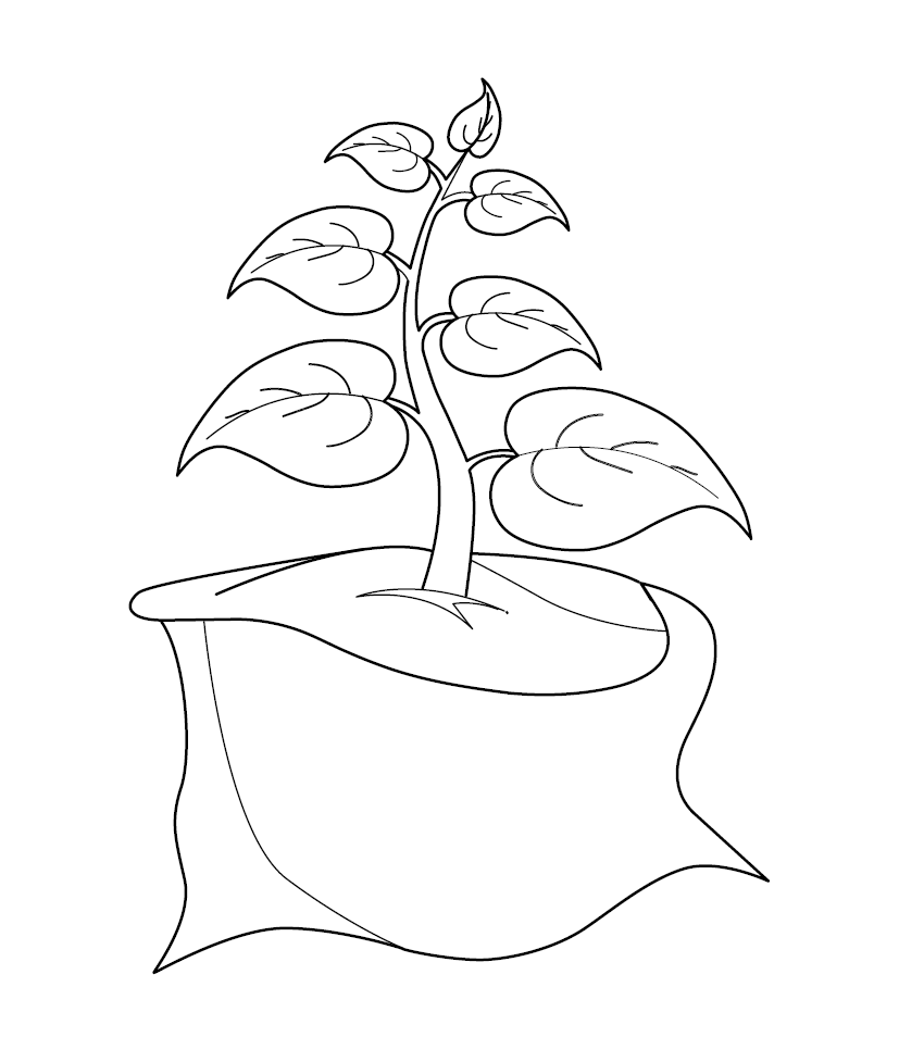 Plant colouring page free colouring book for children â monkey pen store