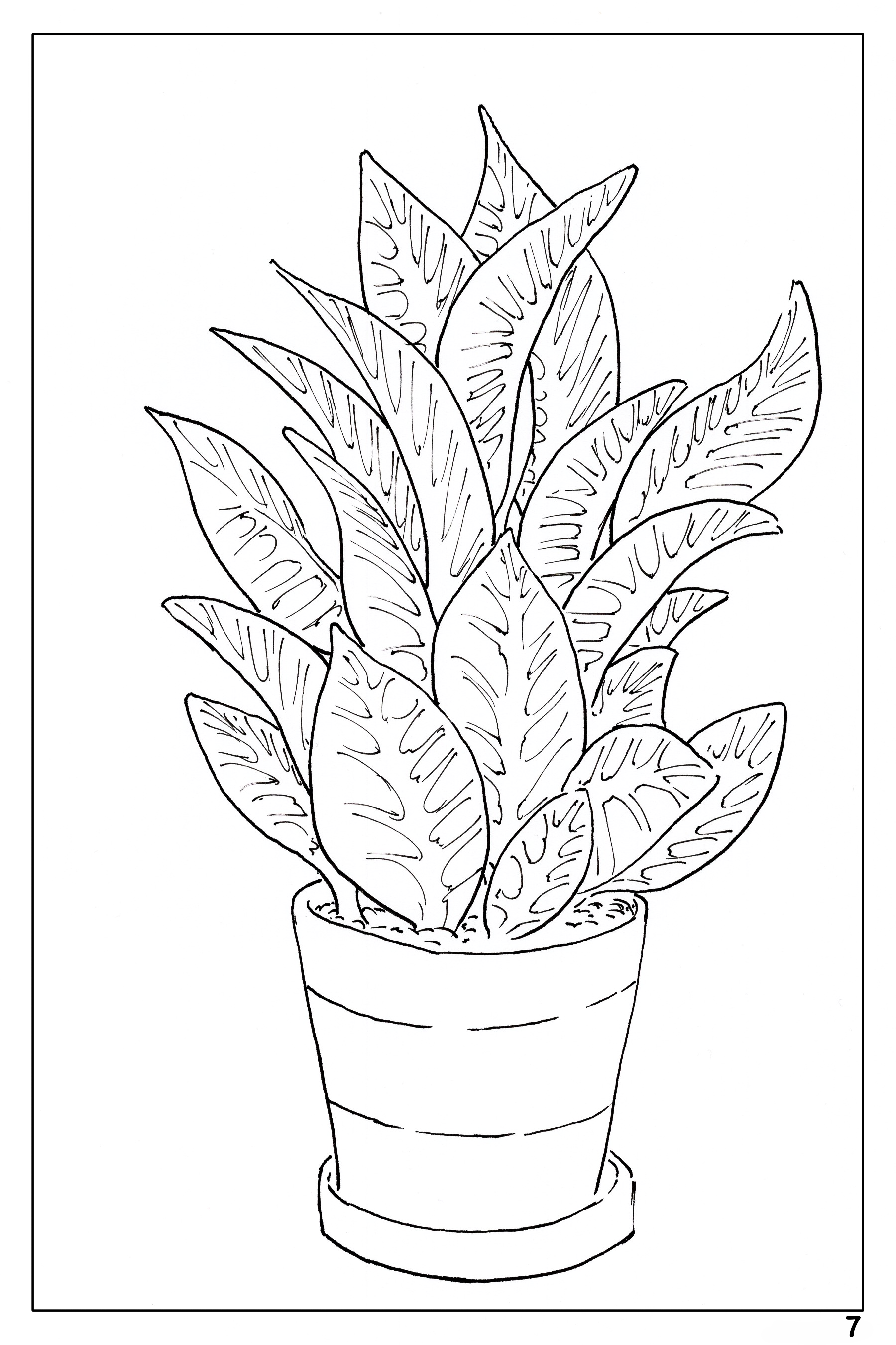 Plants and flowers themed watercolor coloring book â wondering watercolor