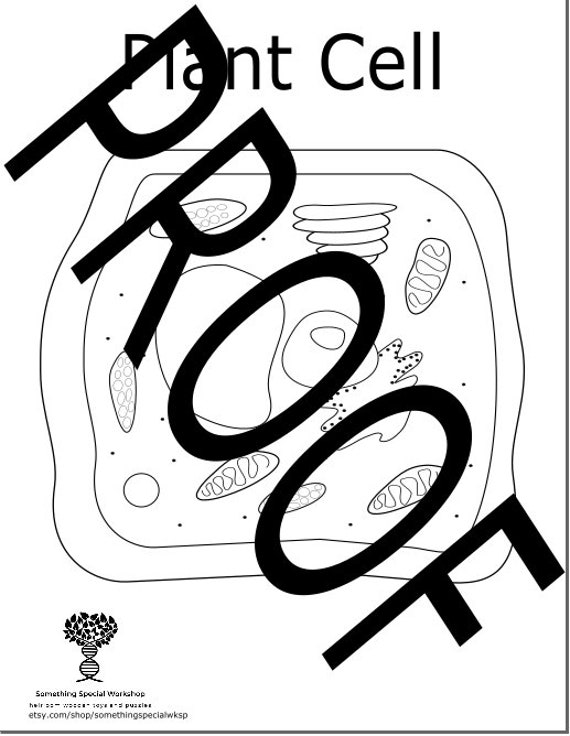 Plant cell coloring sheet