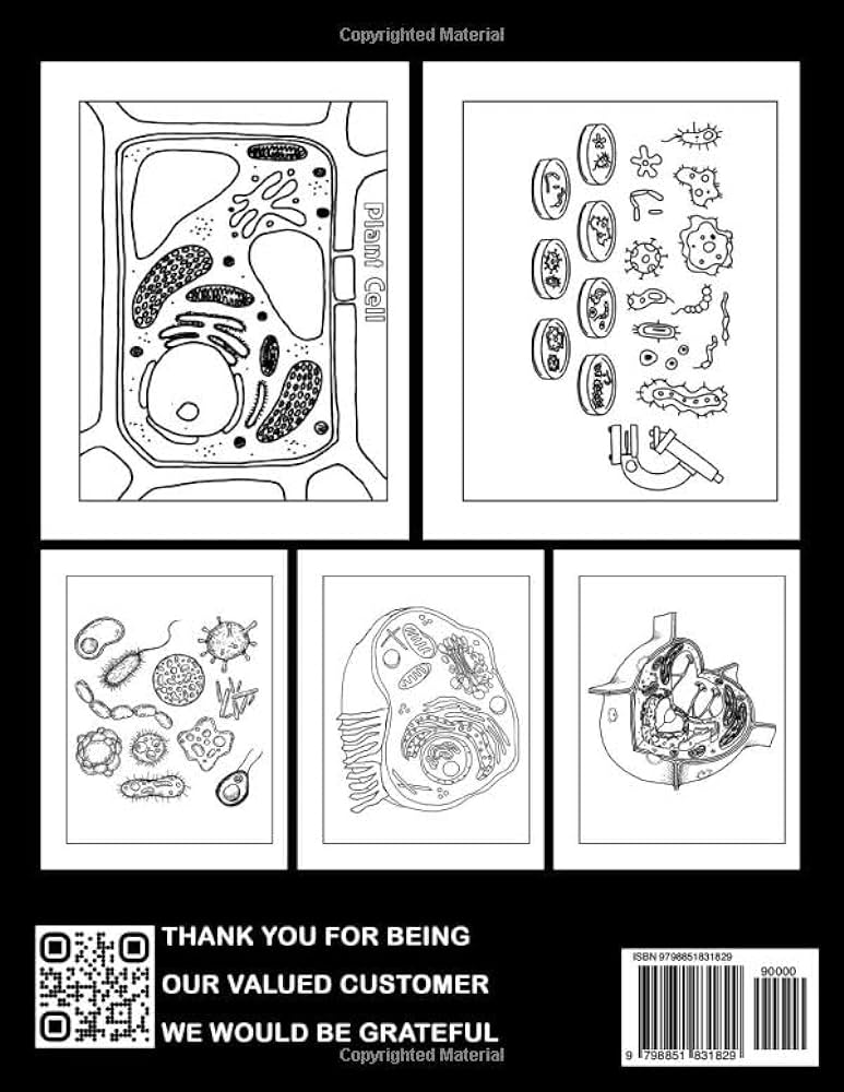Human cell coloring book interesting coloring pages featuring many illustration for teens adults to learn about cells and organs terry myles books