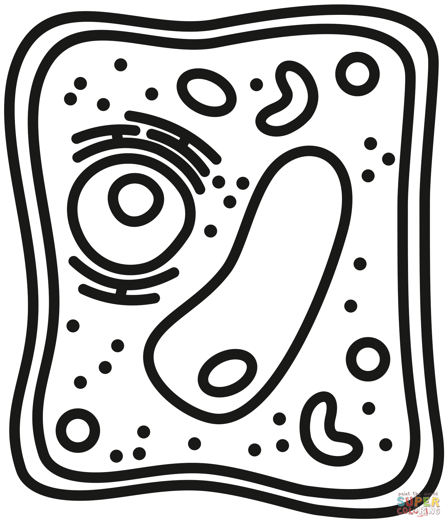 Plant cell coloring page free printable coloring pages
