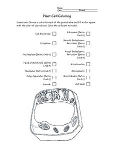 Plant cell coloring lesson plan for th