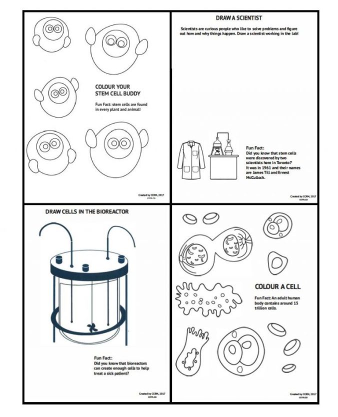 Coloring book the stem cellar