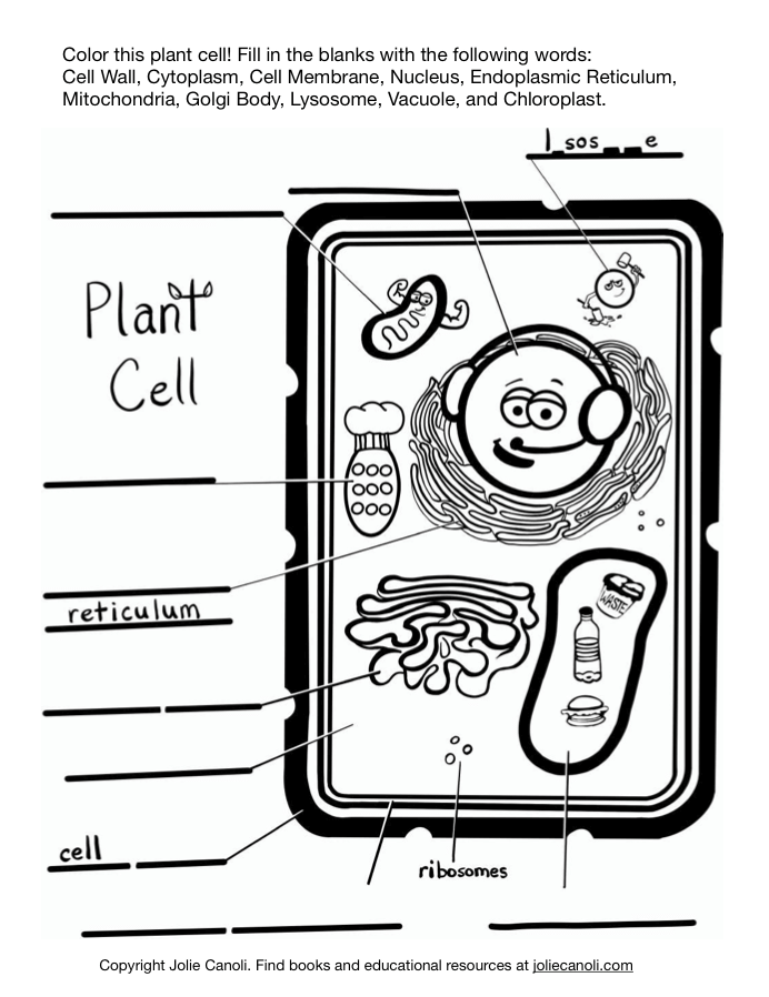 Cells for kids â jolie canoli