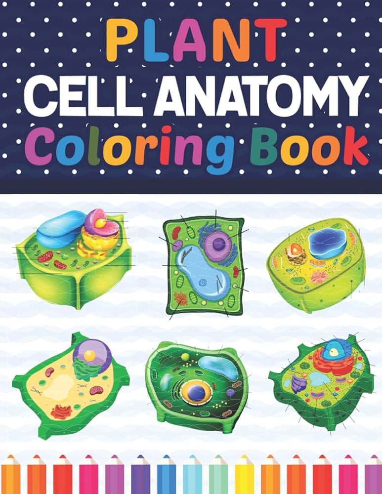 Plant cell anatomy coloring book introduction to plant cell anatomy workbook relax design for anatomy students younger kids for learn anatomy of plant cells plant cell anatomy coloring book for boys