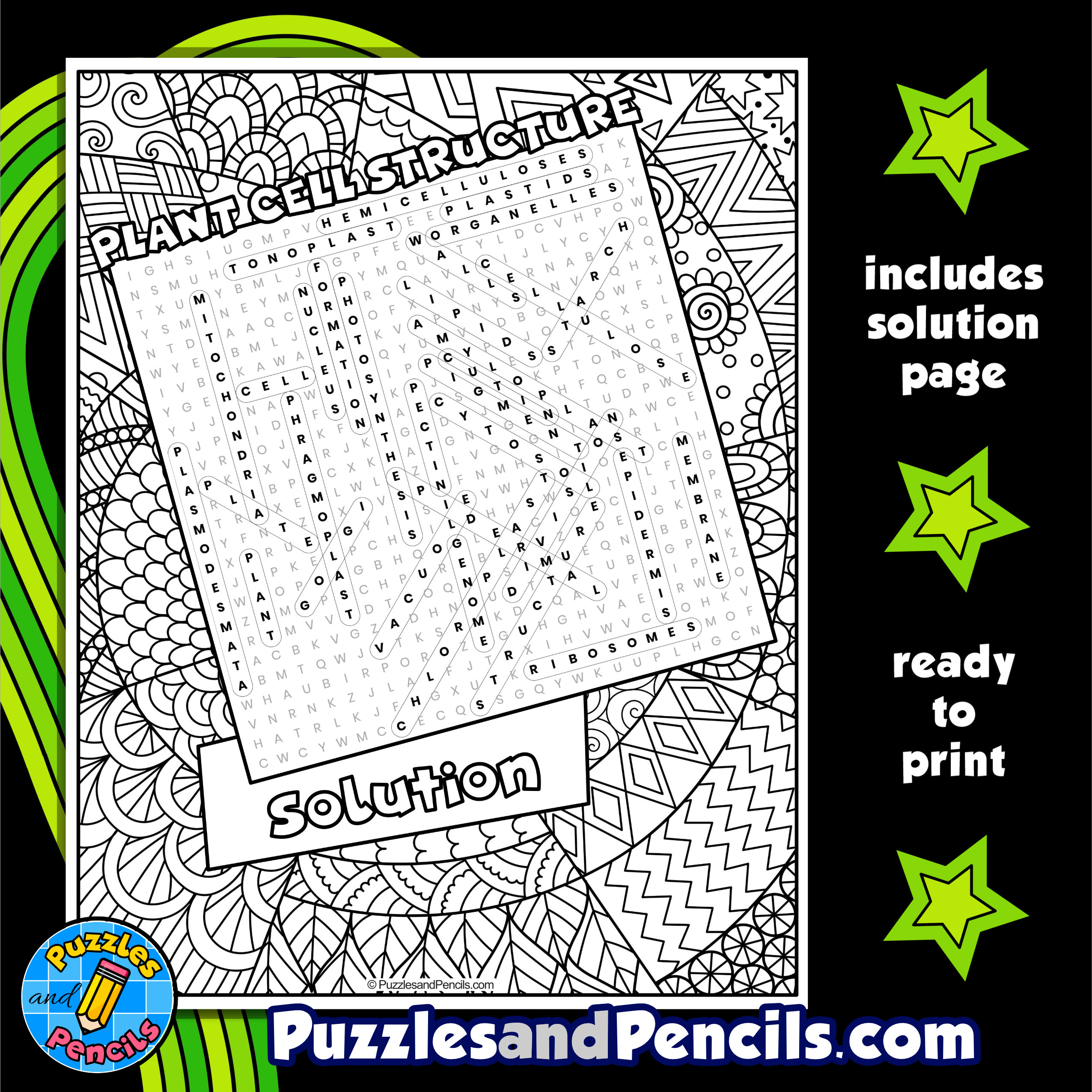 Plant cell structure word search puzzle with coloring plant biology wordsearch made by teachers