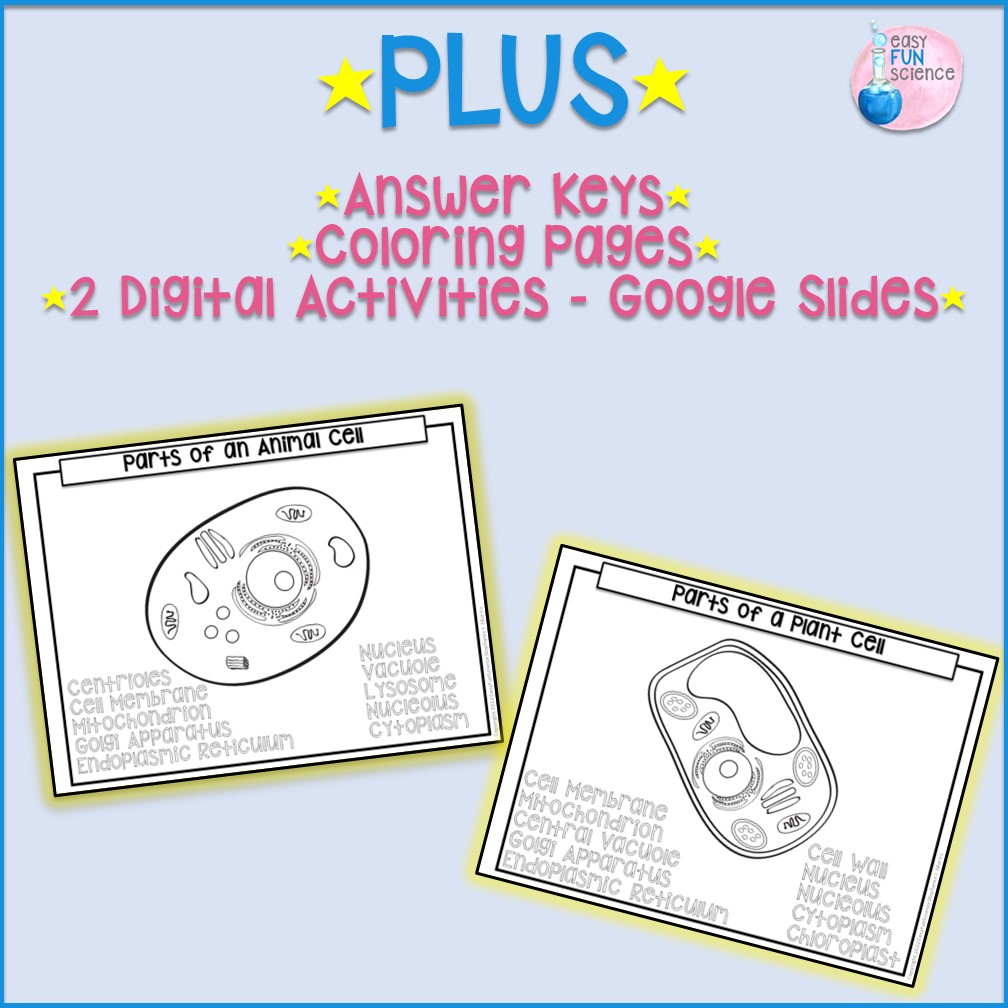 Label the cells plant and animal cells editable digital