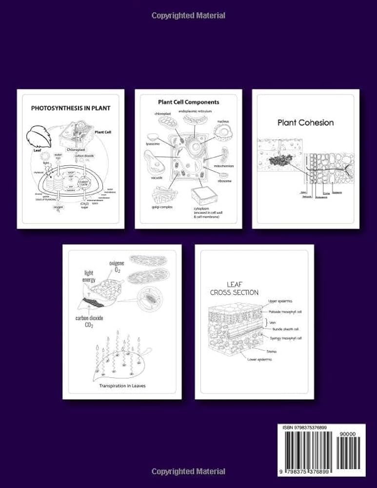 Botany coloring book botany anatomy coloring pages including details about plant cell parts of flowers trees leaves fruits for biology students and teachers m adams tomas books