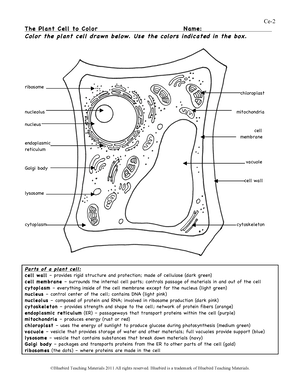 Answer key th