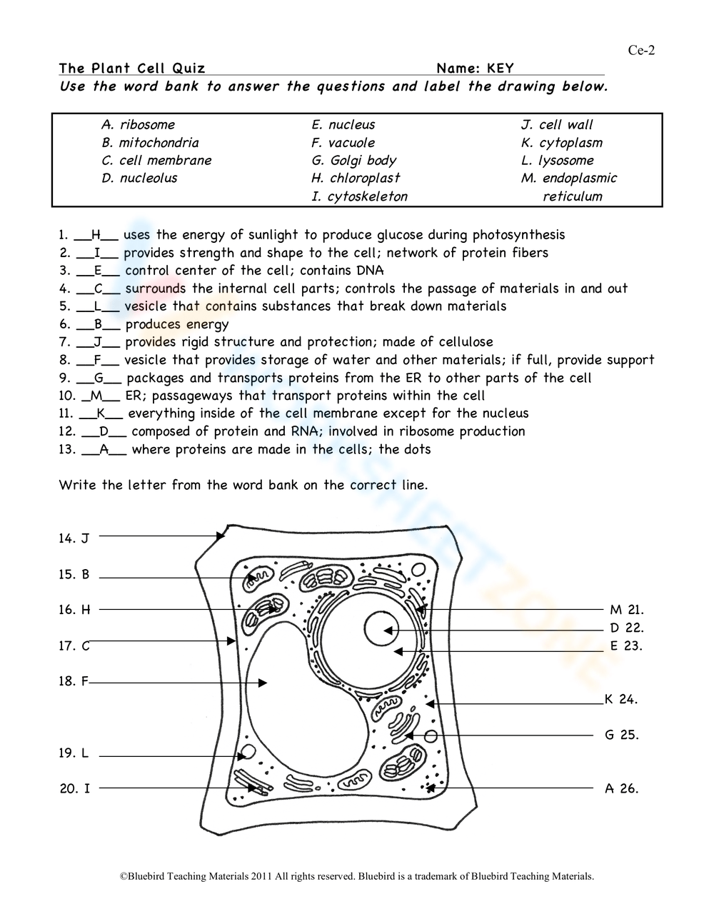 Free collection of plant cells worksheets for teaching