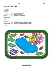 Cell coloring