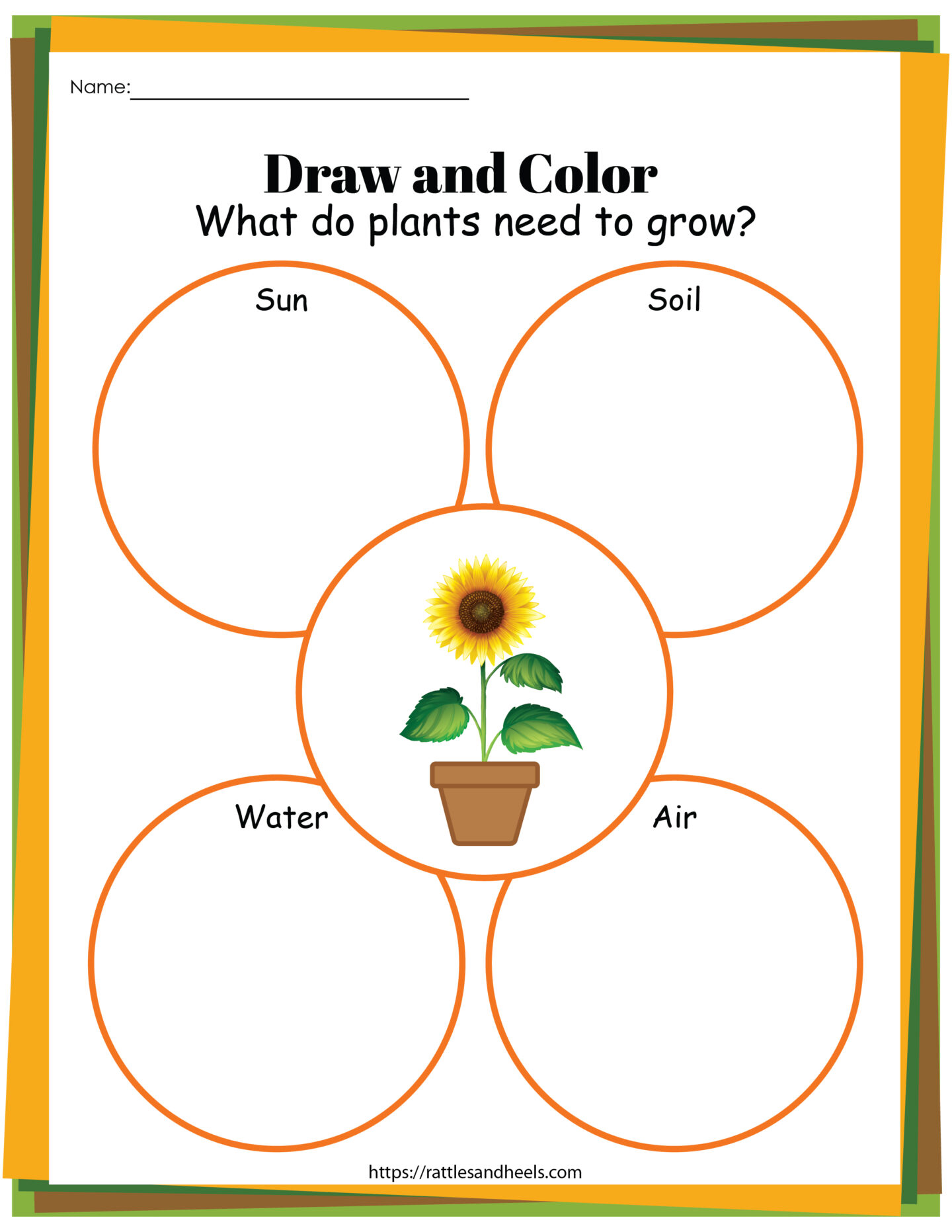 Plant life cycle worksheets free printables for kids