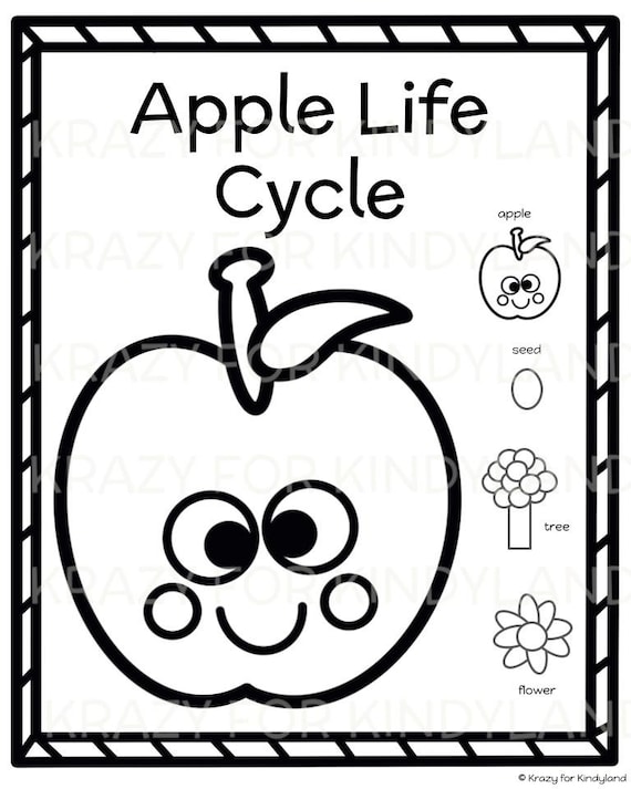 Life cycle coloring pages booklet plant parts garden animals insects spring kids coloring pages coloring book kids coloring sheets