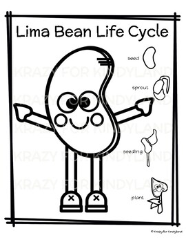 Life cycle coloring pages
