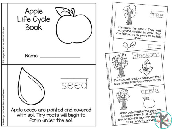 Ððð free printable plant life cycle for kids reader