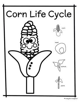 Life cycle coloring pages