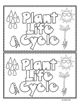 Plant life cycle emergent reader freebie kindergarten science plants kindergarten plant life cycle