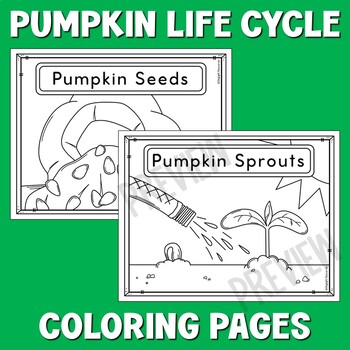 Pumpkin life cycle coloring pages fun science coloring by skylight resources