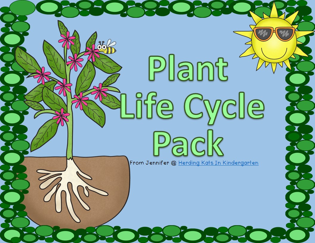 Herding kats in kindergarten plant life cycle unit