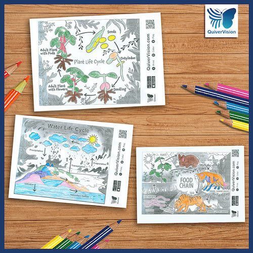 Teachergoals on x have you used quivervisions lifecycle ar coloring sheets with your students the pack includes plant life cycle ð water life cycle â food chain ð the coloring sheets