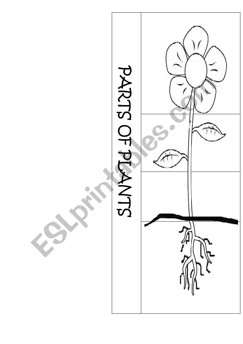 Plant parts