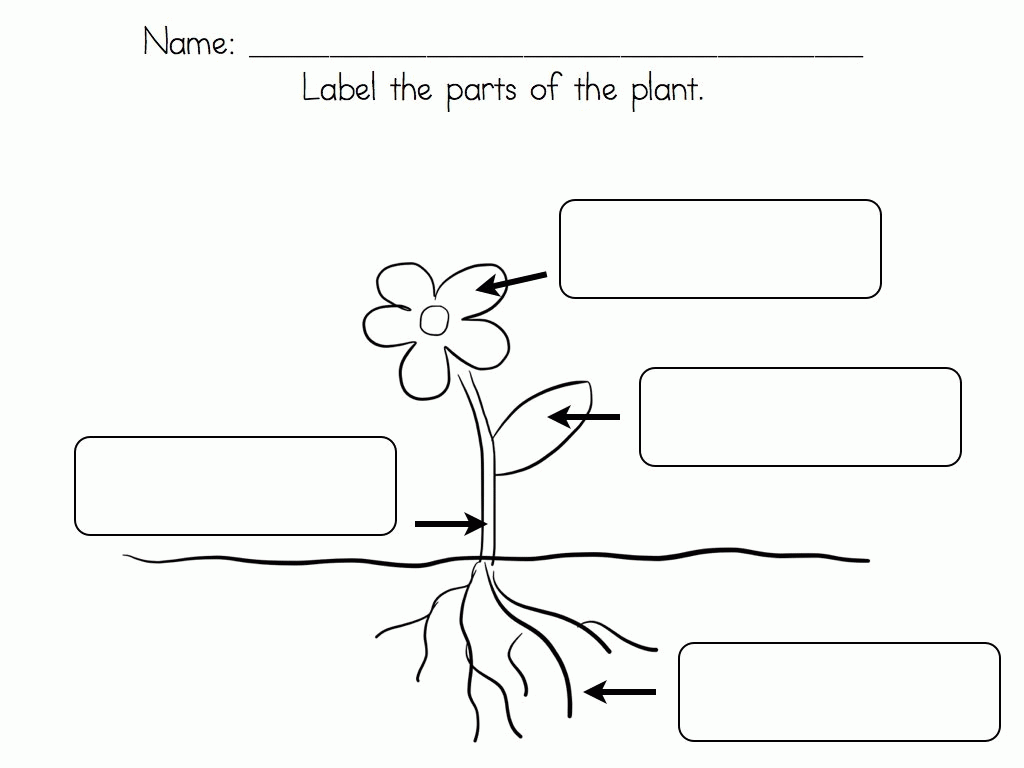 Grade parts of a plant