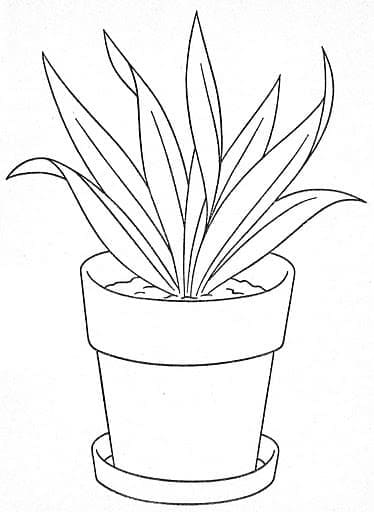 Flower pot coloring pages