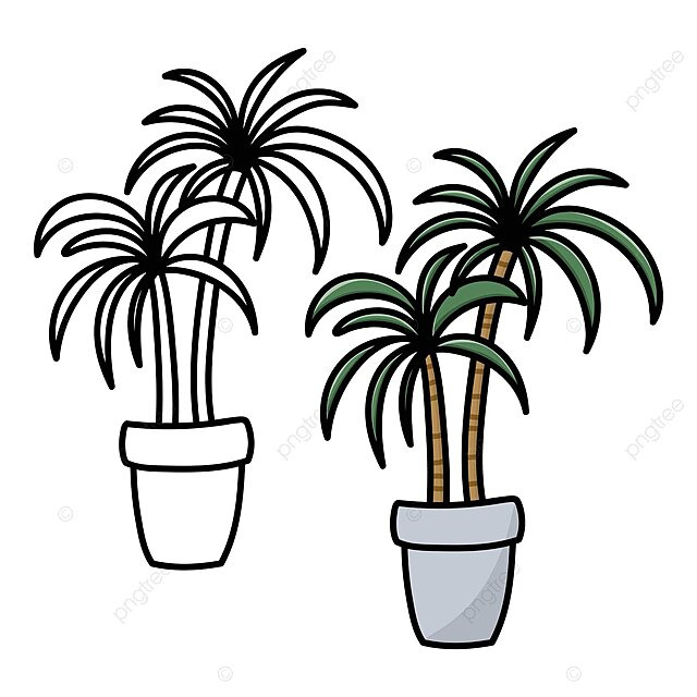 Coloring book page miniature palm trees in a potted plant vector illustration template children png and vector with transparent background for free download