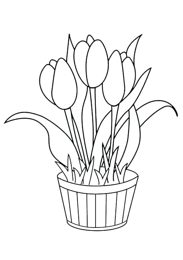 Flower pot coloring pages