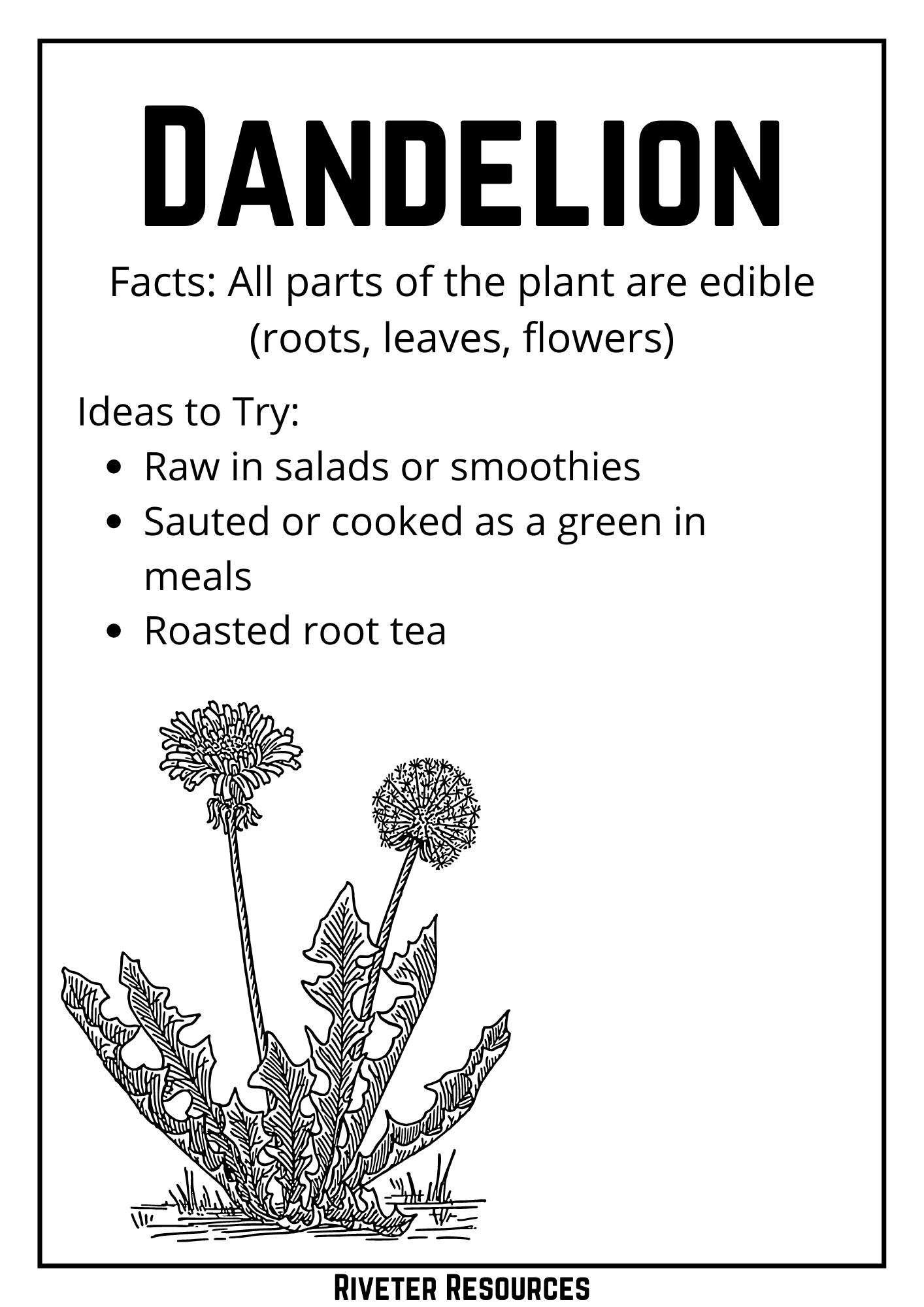 Coloring pages