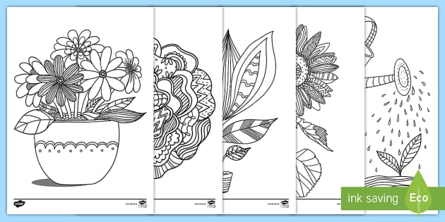 Plant colouring colouring sheets teacher made