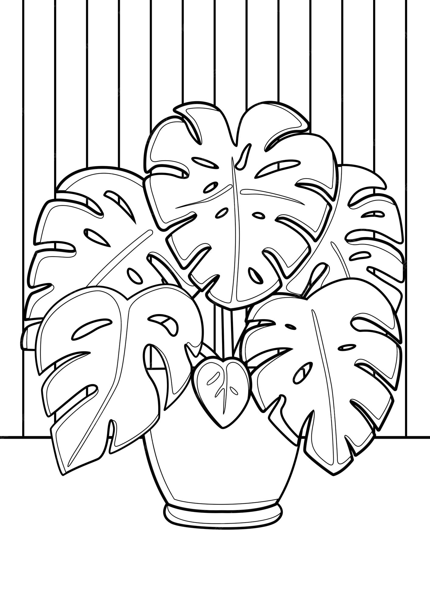 Premium vector monstera home plants indoor coloring pages a for kids and adult