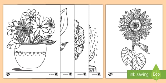 Printable mindfulness plant louring sheets teacher made