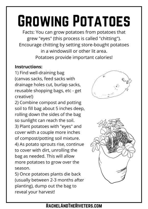 Coloring pages