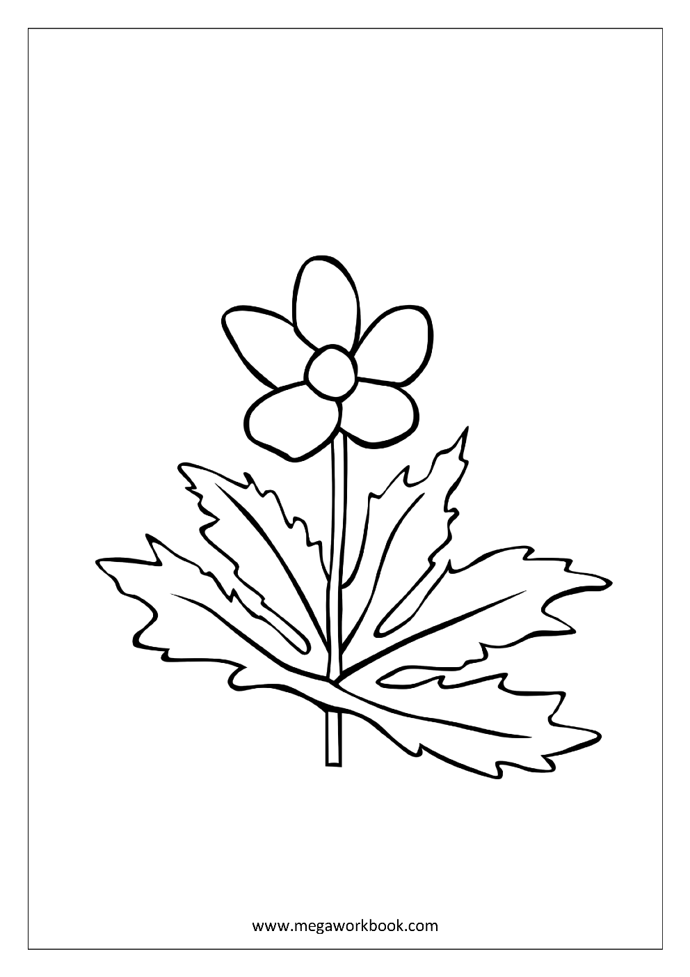Flower coloring pages
