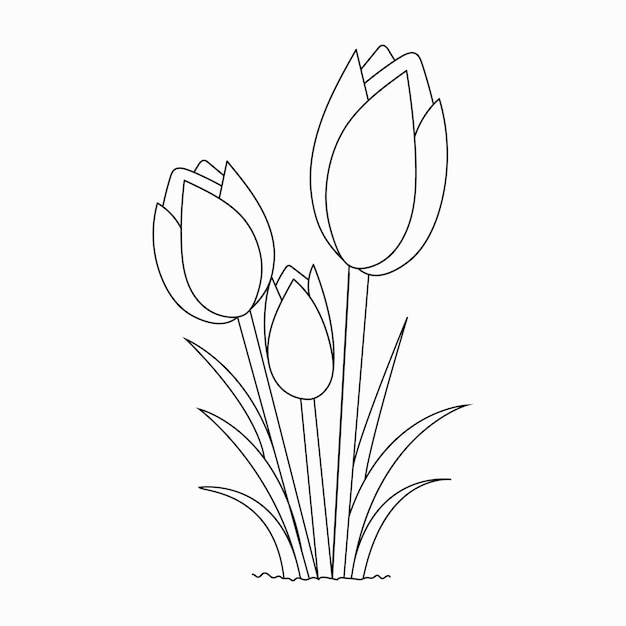 Hermosas flor fãcil libro para colorear flor en blanco y negro dibujadas a mano vector premium