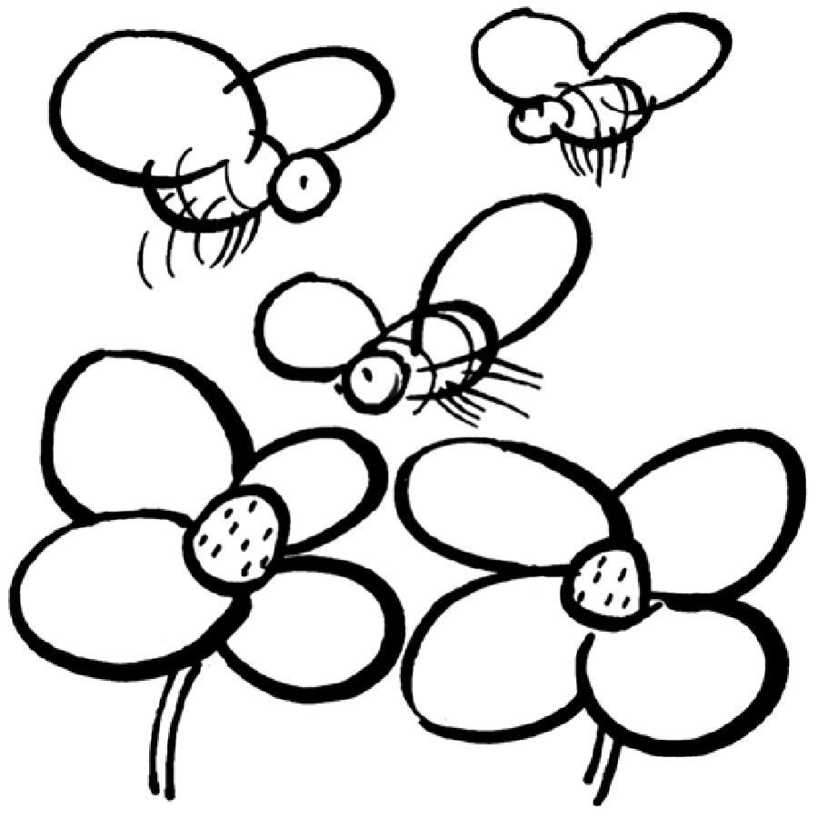 Dibujos para colorear de flores y plantas