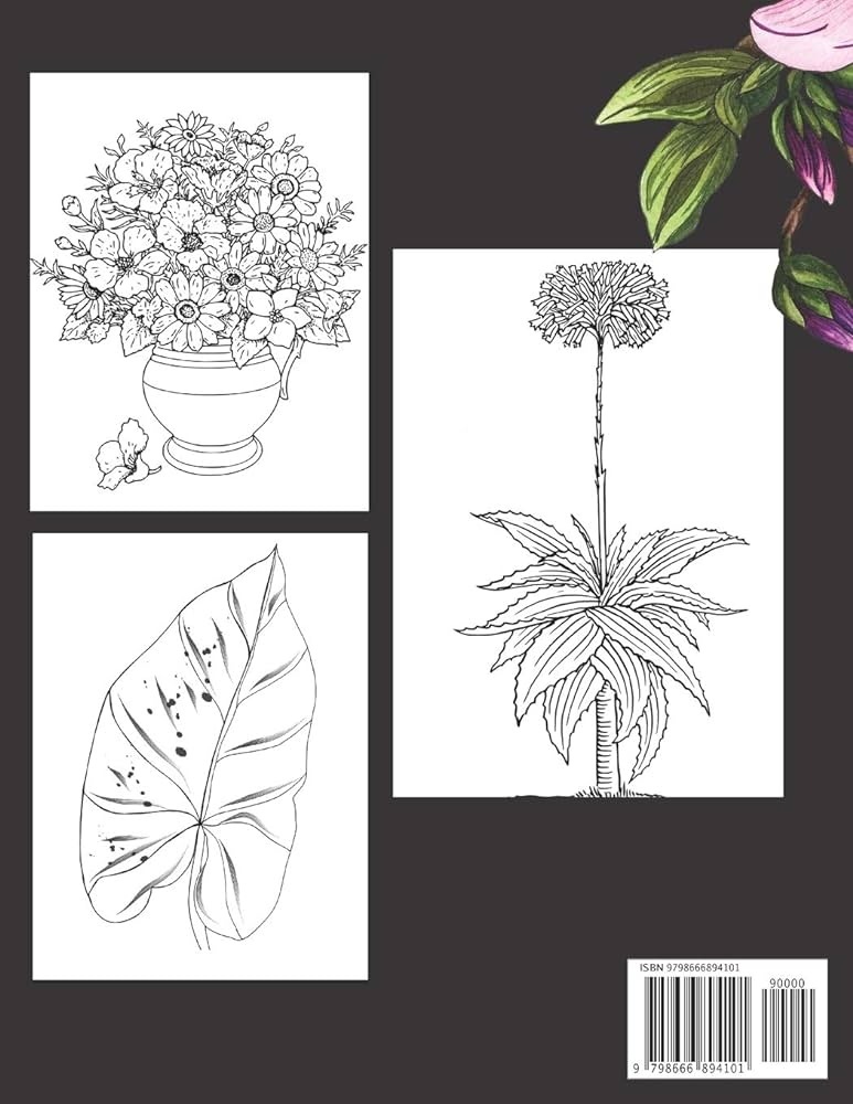 Flor y plantas libro para colorear facilmente para adultos diseãos grand y fãcil para personas mayor o para principiantâpersonas mayor regalos editorial nbz creativa y divertida libros