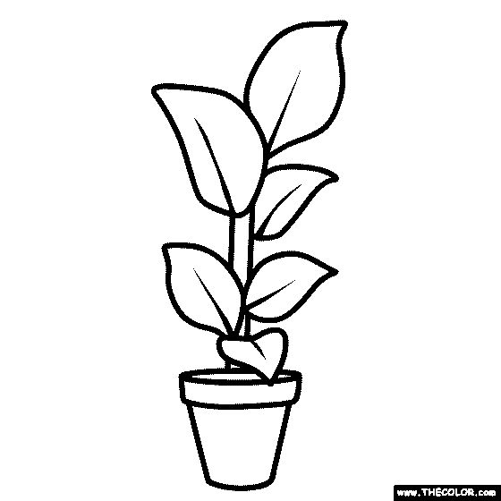 Houseplant coloring page coloring pages flower coloring pages easy coloring pages