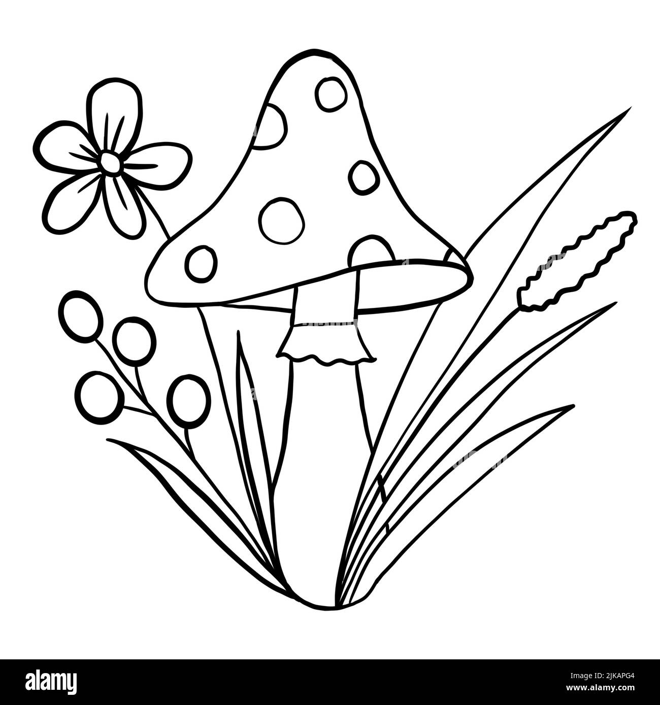 Plantas para colorear fotografãas e imãgen de alta roluciãn
