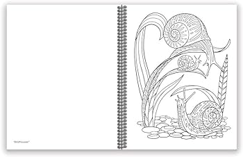Action publishing libro para colorear rãpido senderos de jardãn y senderos forestales