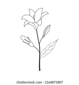 Hermoso libro de colores de flores vector de stock libre de regalãas