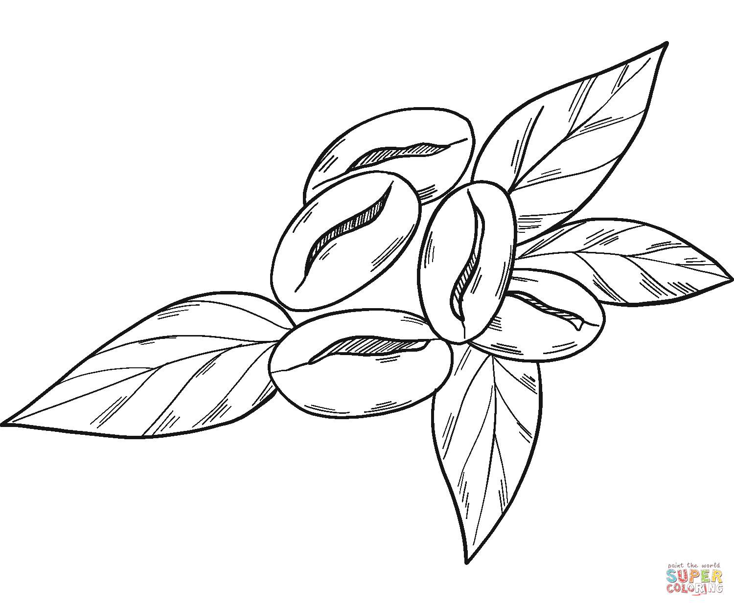 Dibujo de planta de cafe para colorear dibujos para colorear imprimir gratis