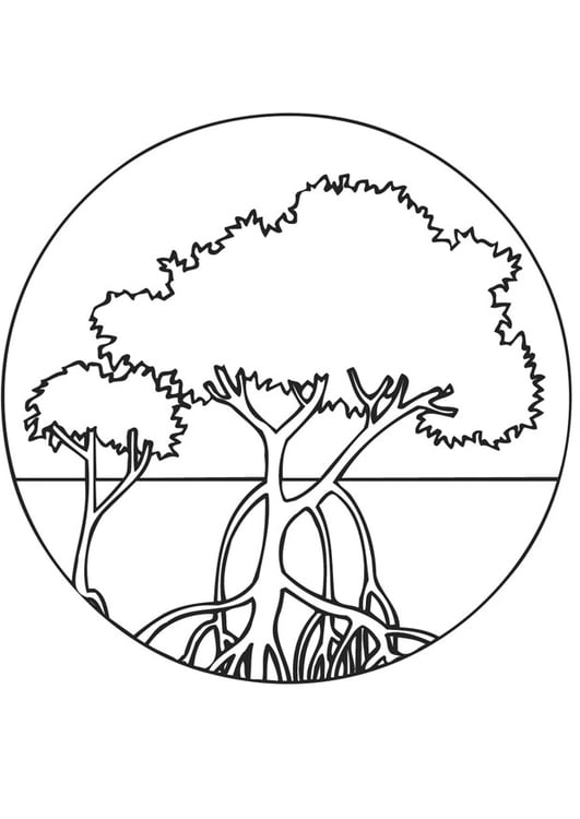 Dibujo para colorear bosque de mangle