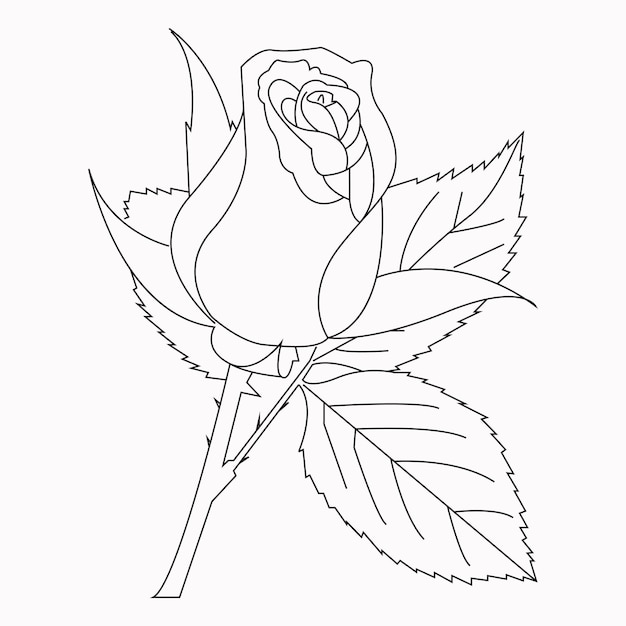 Hermoso libro para colorear de flor de rosas fãcil para niãos en edad precolar lindas flor de rosas educativas vector premium