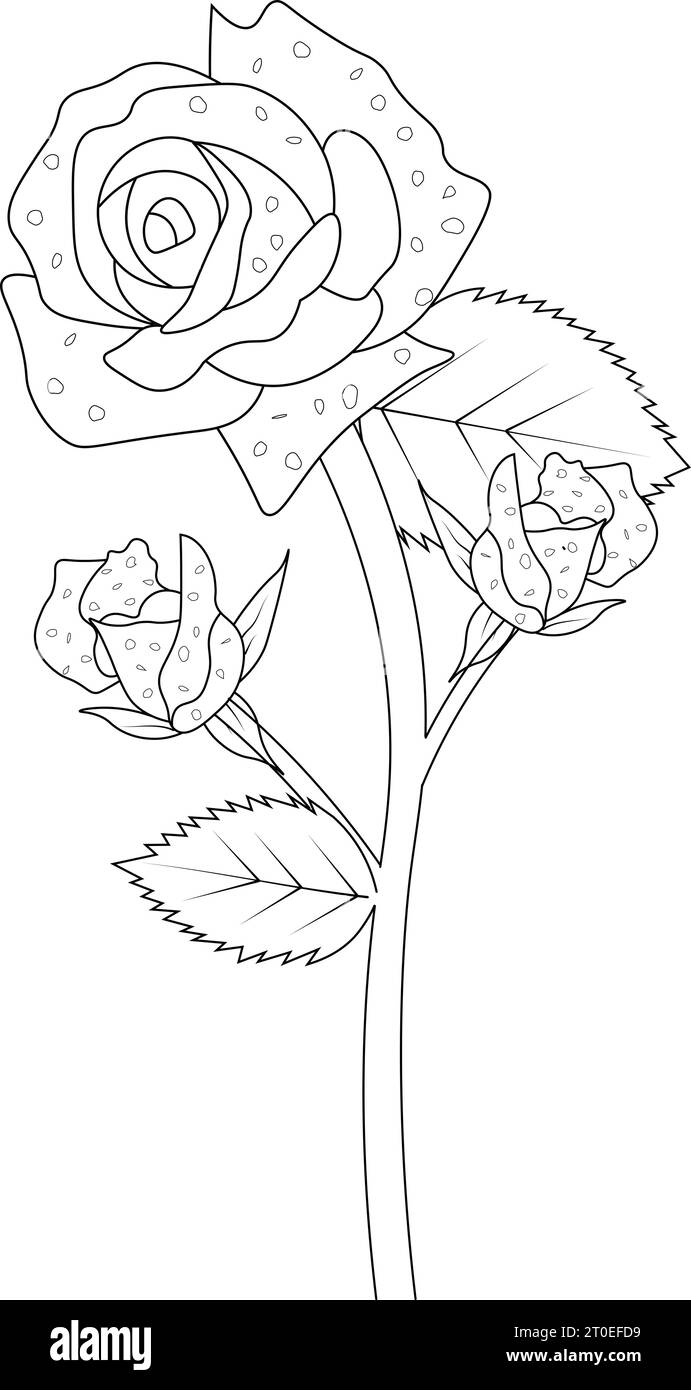 Quema de dibujo de ramo de flor de rosa dibujo de rosa dibujo de rosa el contorno quema de dibujo de rosa de plantilla dibujo de tatuaje de rosa de plantilla de