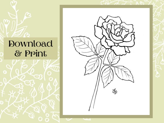 Esquemaplantilla de dibujo de flor de rosa descargar colorpintura pdf digital imprimible